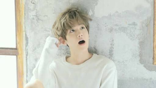 EXO ベッキョン ベクヒョン ベク