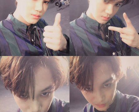 カイ メッセージ