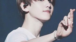 Vアプリをパソコン Pc で見る方法と録画 動画キャプチャー して保存する方法 Exoasis In Vita