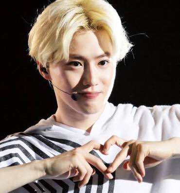 EXO スホ　ジュンミョン